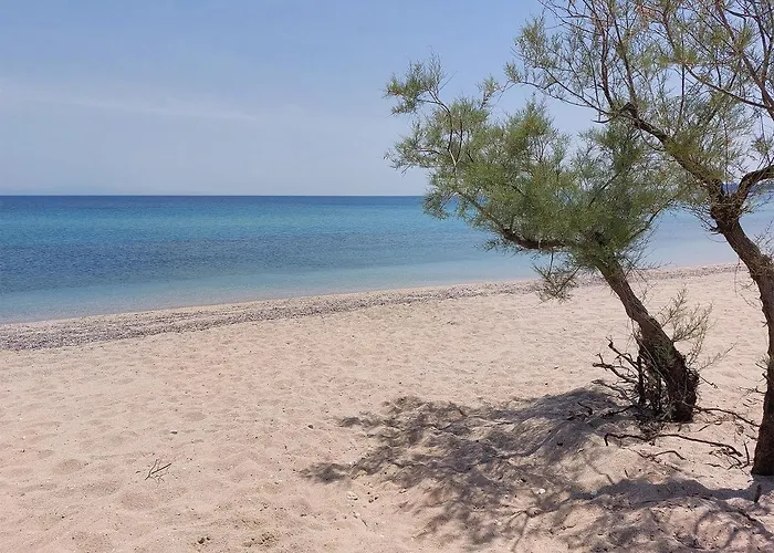 Flamingo View & Potidée