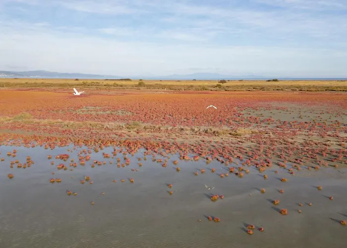 Appart hôtel Flamingo View &