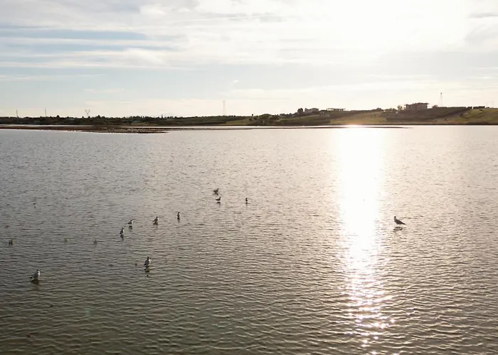 Flamingo View & 4* Potidée