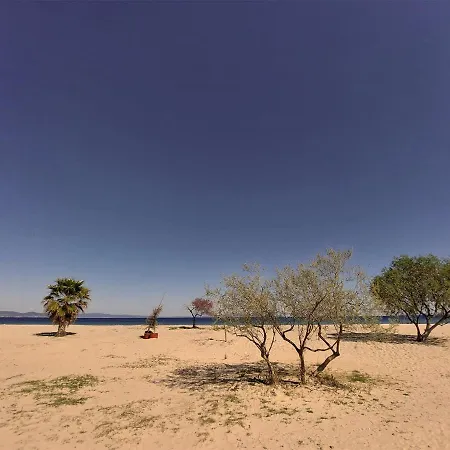 شقة فندقية Flamingo View & 4*