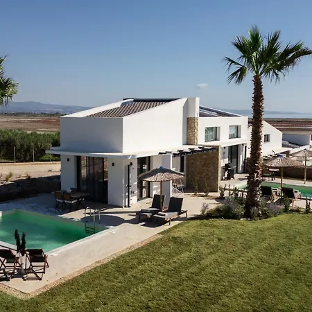 Flamingo View & 4*
