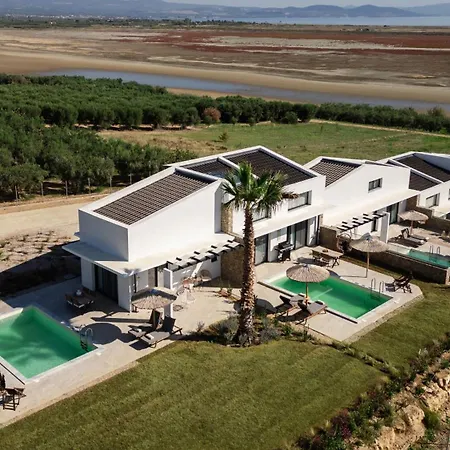 Flamingo View &