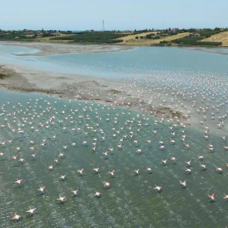 Flamingo View & *