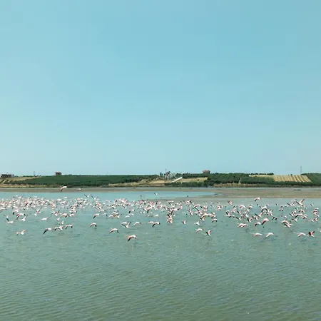 Flamingo View & * Неа-Потидеа