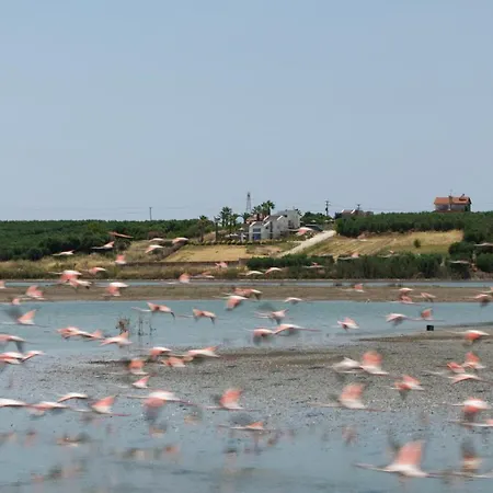 Flamingo View & Néa Potídea