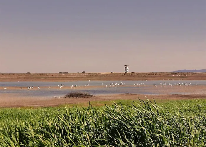 Aparthotel Flamingo View Suites&villas