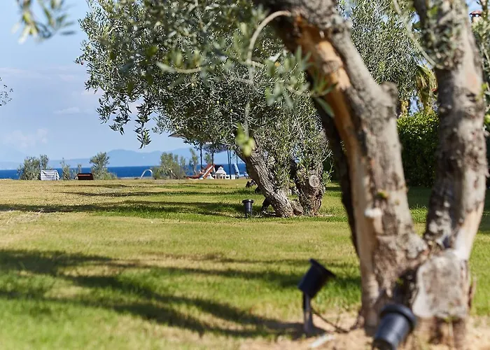 Aparthotel Flamingo View Suites&villas Nea Poteidaia