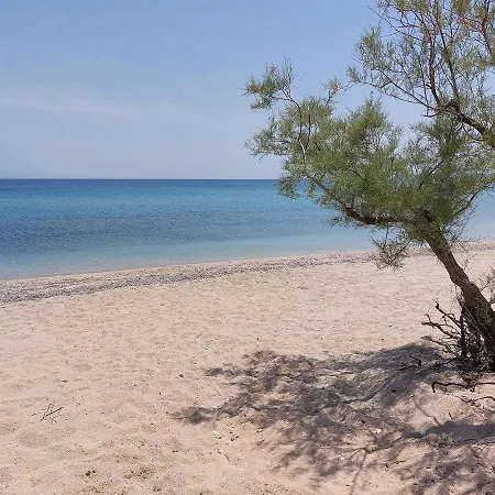 Flamingo View & Νέα Ποτίδαια