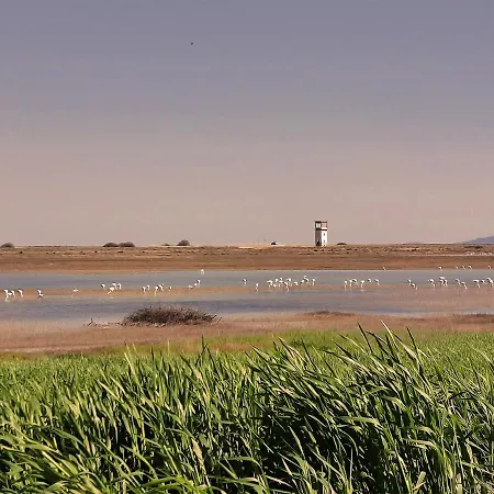 Ξενοδοχείο με διαμερίσματα Flamingo View &