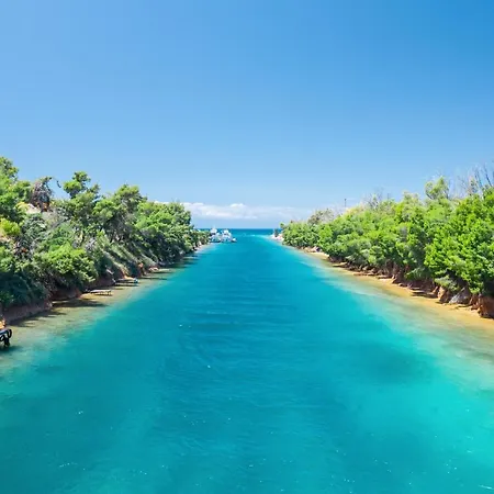 Flamingo View & Νέα Ποτίδαια