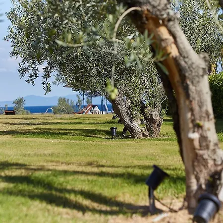 Ξενοδοχείο με διαμερίσματα Flamingo View & Νέα Ποτίδαια