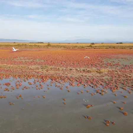 Ξενοδοχείο με διαμερίσματα Flamingo View &