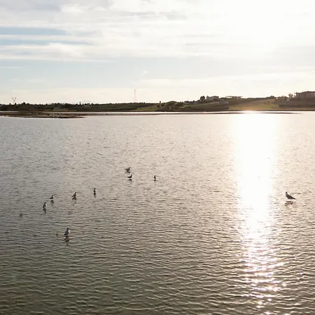 Flamingo View & 4* Νέα Ποτίδαια